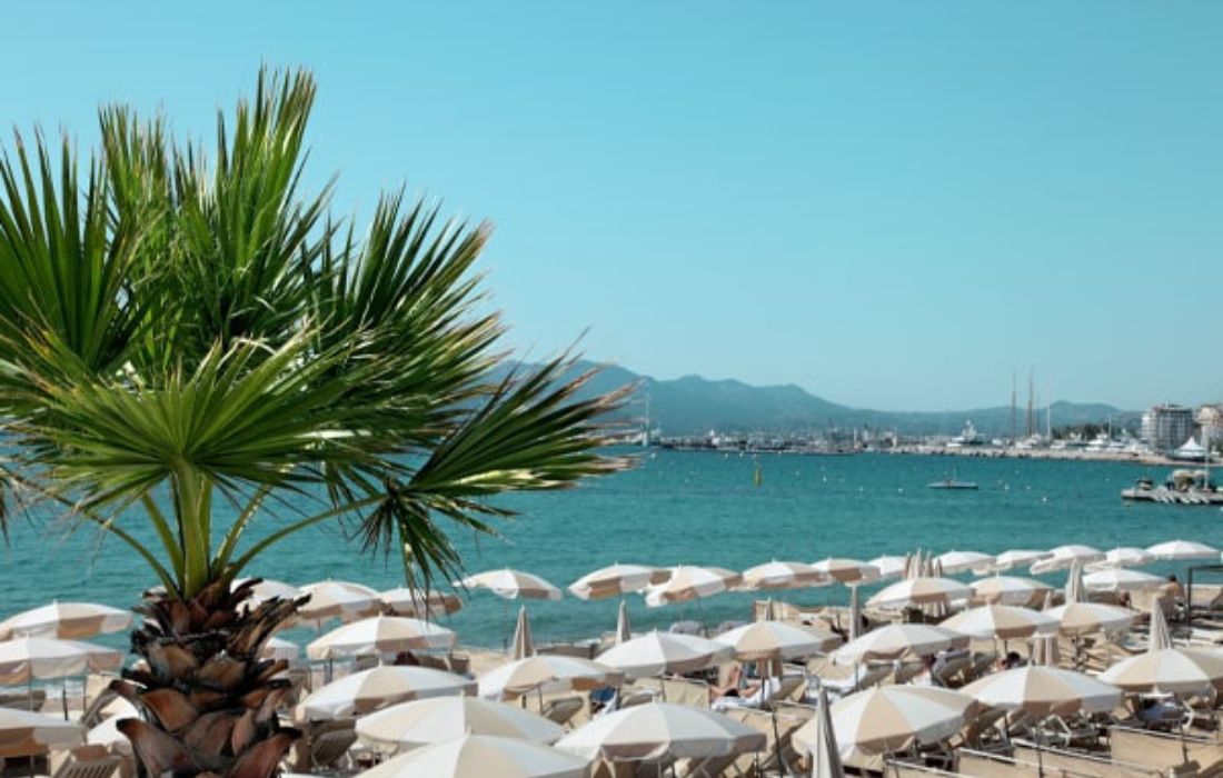 Budget