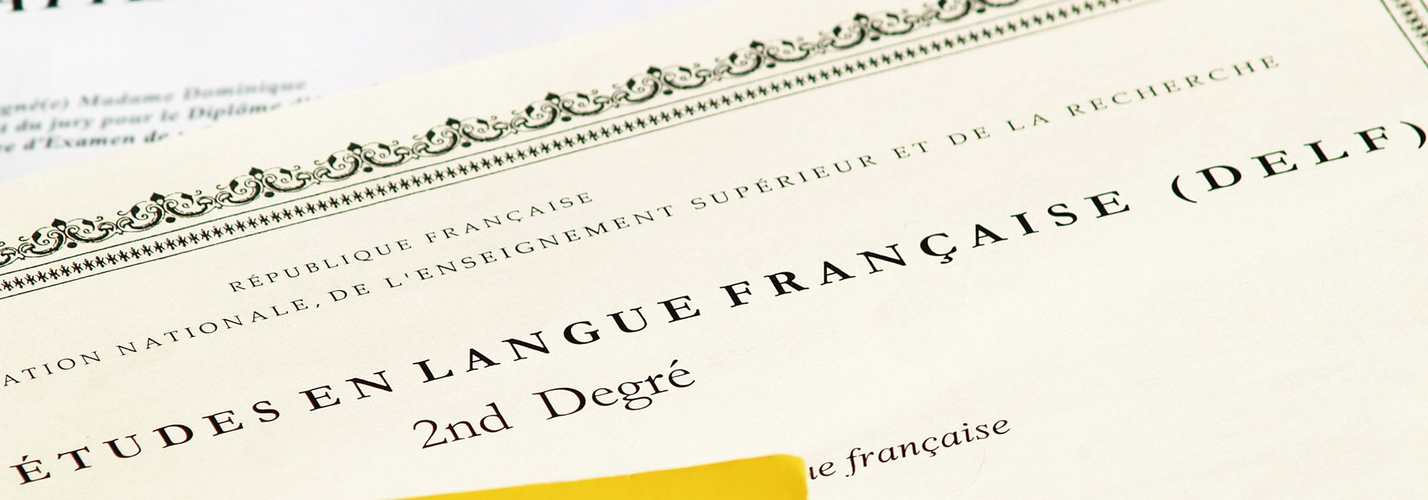 Why pass the DELF examination?