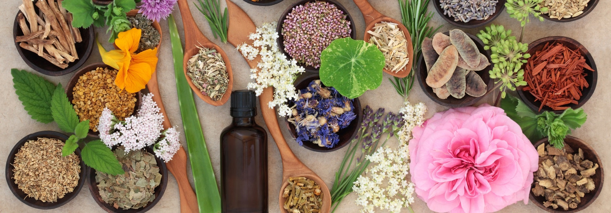 Focus on Grasse: a sensory journey