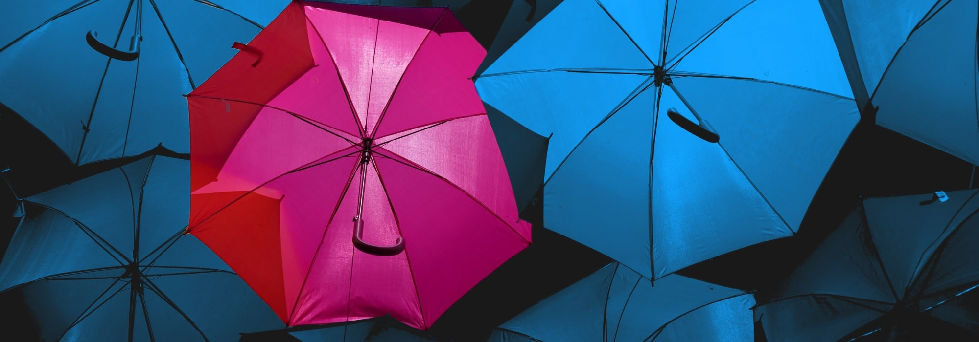 10 curiosities about the French language