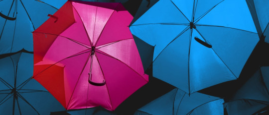 10 curiosities about the French language