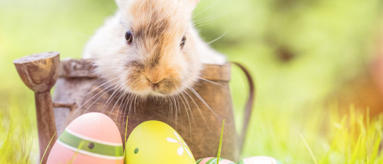 Easter symbols and traditions