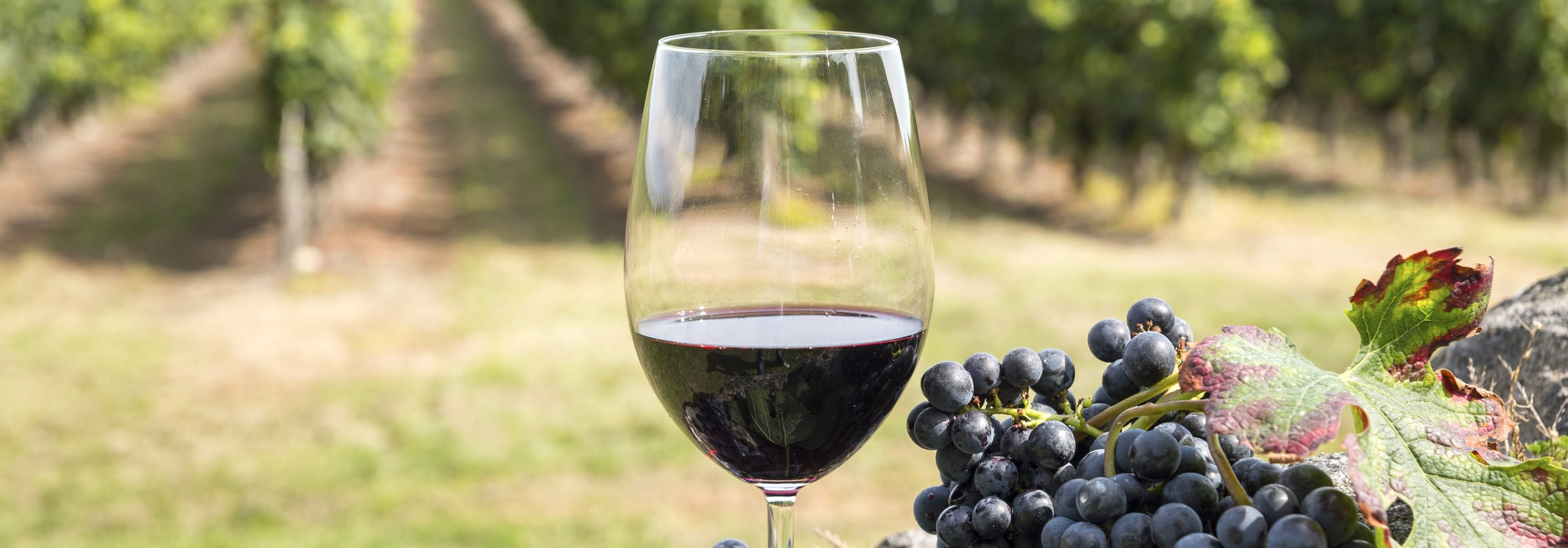 Savoir-vivre à la française: speaking French around a glass of wine !