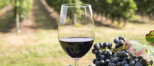 Savoir-vivre à la française: speaking French around a glass of wine !