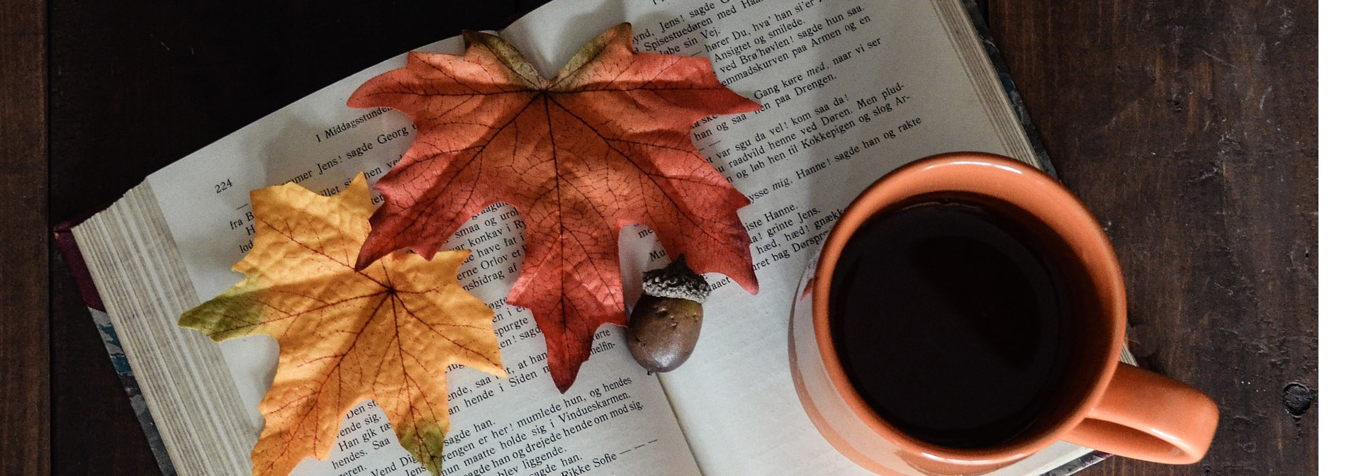 Literature and learning French