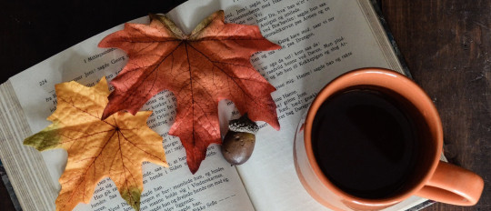 Literature and learning French