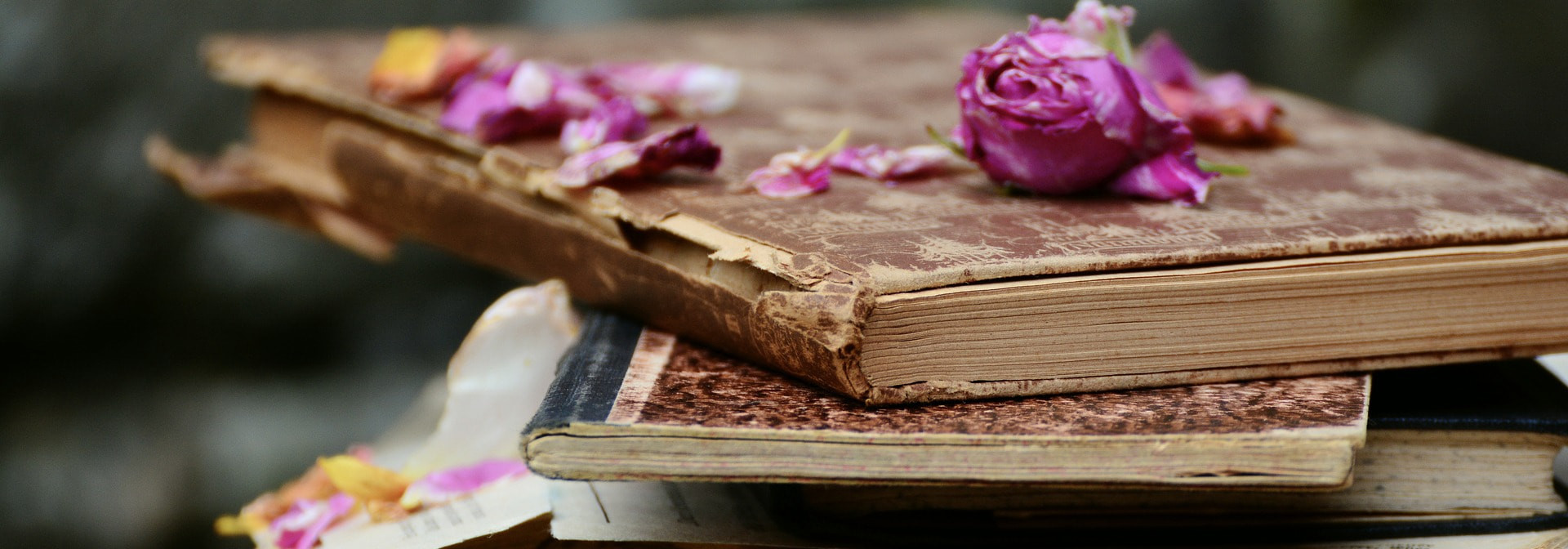 Learning French with books