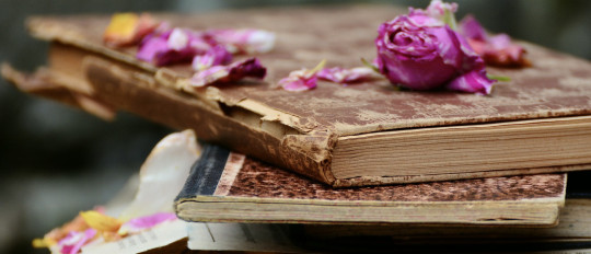 Learning French with books