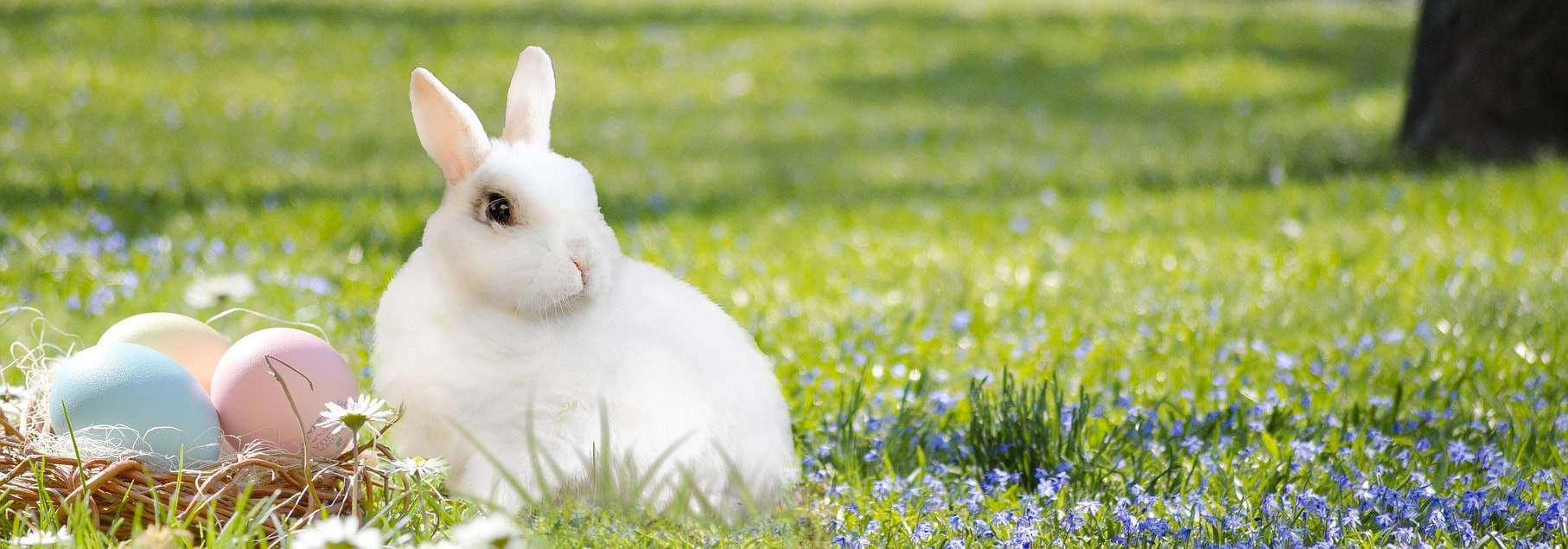 Easter traditions in France and around the world