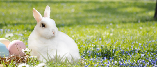 Easter traditions in France and around the world