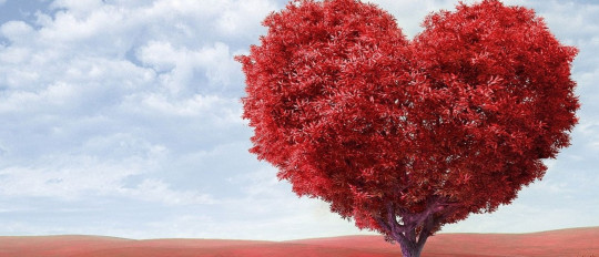 Talking about love and life in French