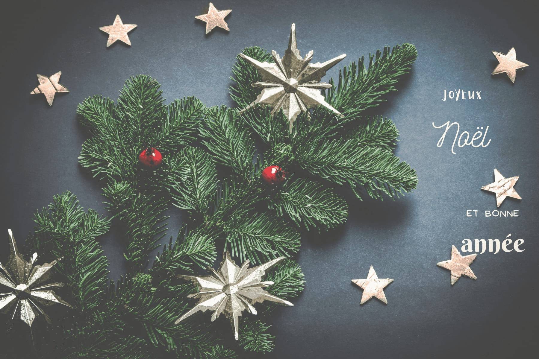 Christmas and New Year traditions and vocabulary