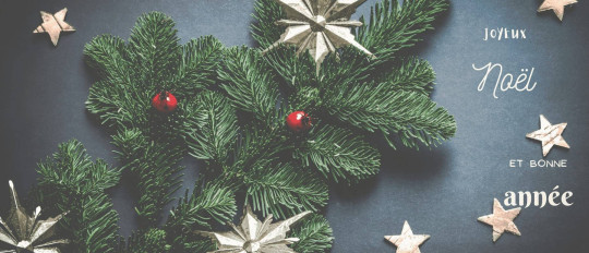 Christmas and New Year traditions and vocabulary