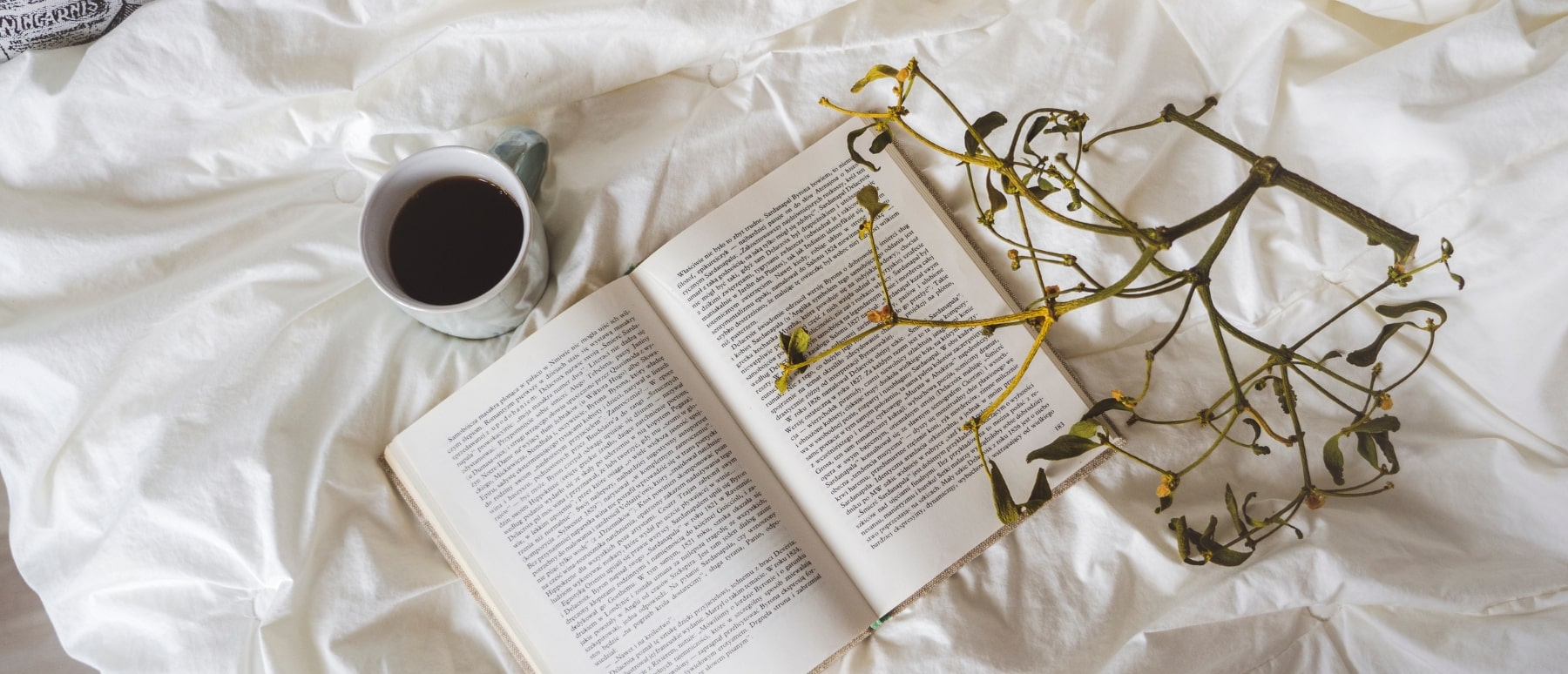 Best books for learning french 4