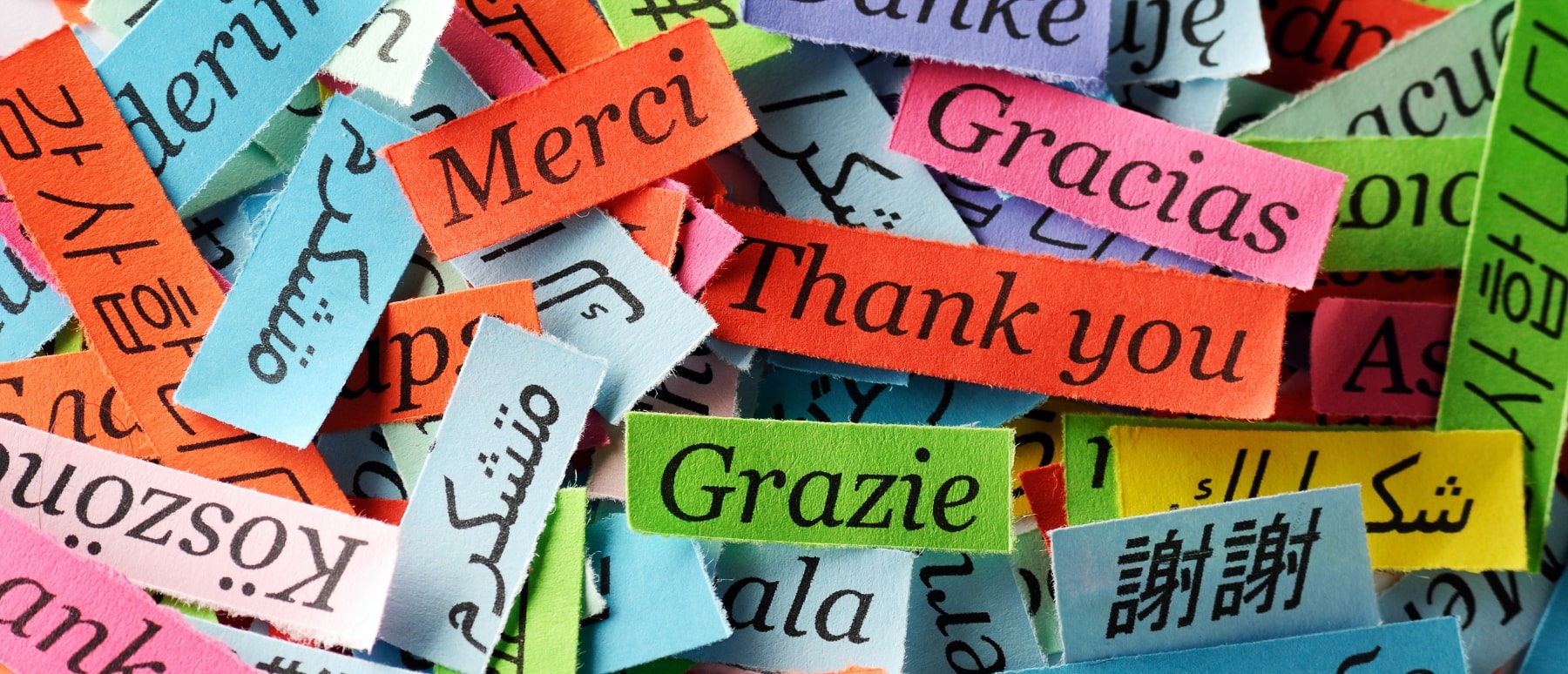 Saying thank you in french the ultimate guide to expressing gratitude 2