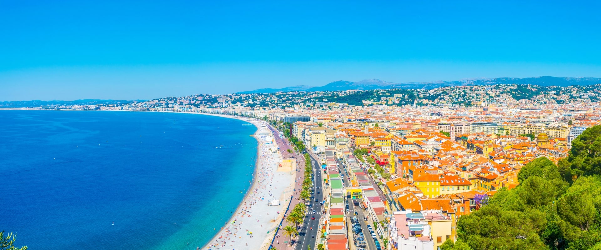 French summer courses in nice banner