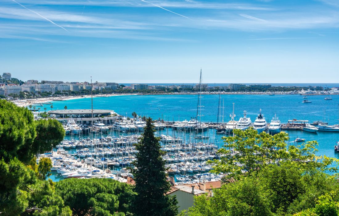 Cannes 14